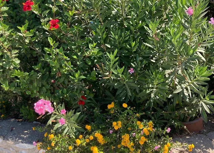 Mit Atemberaubendem Meerblick, Privatem Pool Und Whirlpool Vakantiehuis *